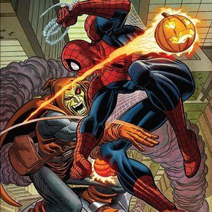 Spider-Man vs Hobgoblin silk canvas Fabric Poster (36" x 24")